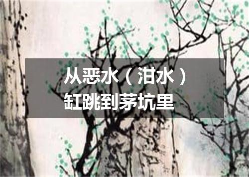 从恶水（泔水）缸跳到茅坑里