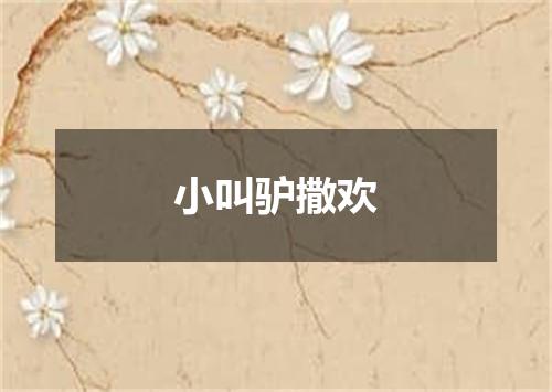小叫驴撒欢