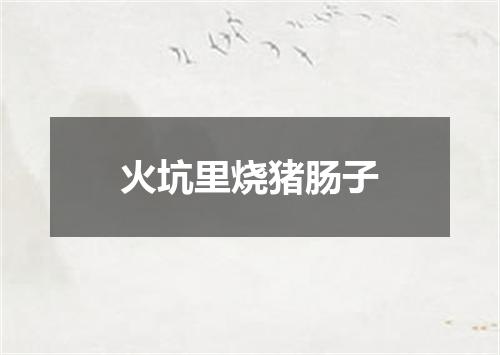 火坑里烧猪肠子