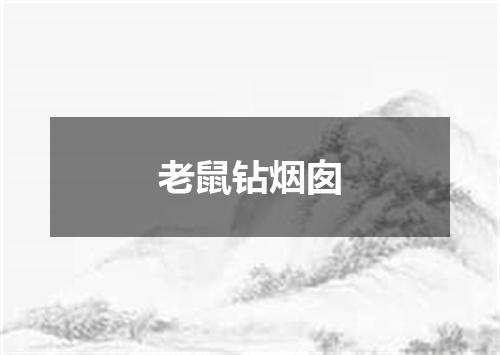 老鼠钻烟囱
