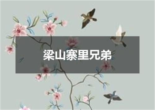 梁山寨里兄弟