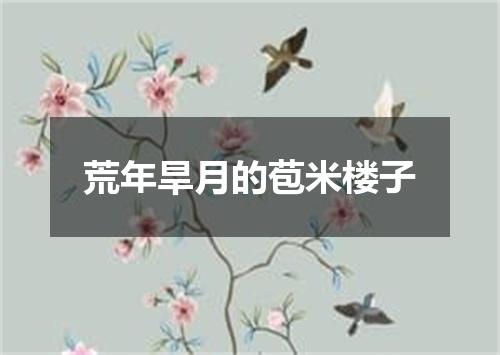 荒年旱月的苞米楼子
