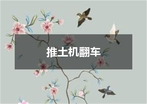 推土机翻车