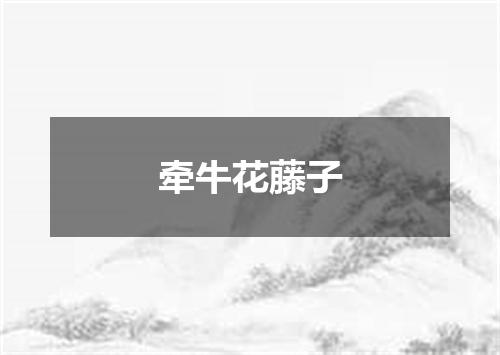 牵牛花藤子