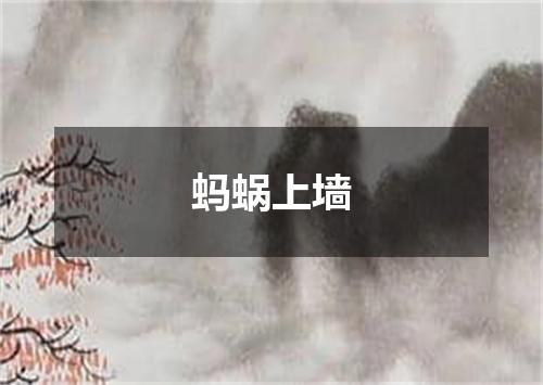蚂蜗上墙
