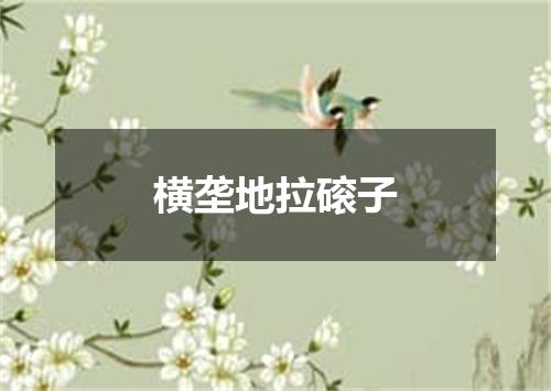 横垄地拉磙子