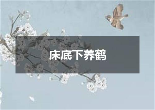 床底下养鹤