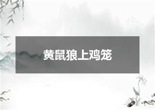 黄鼠狼上鸡笼
