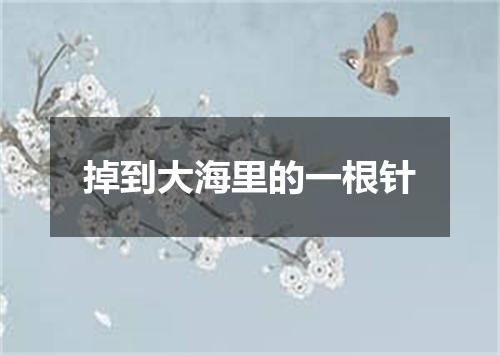 掉到大海里的一根针
