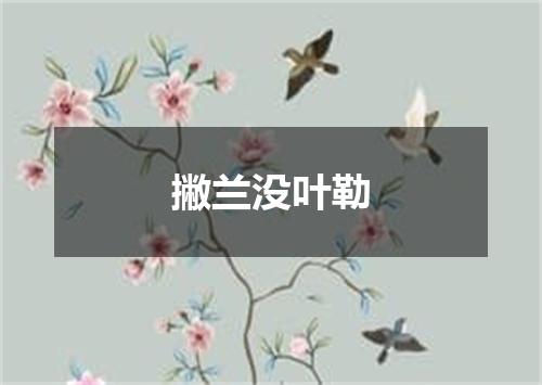 撇兰没叶勒