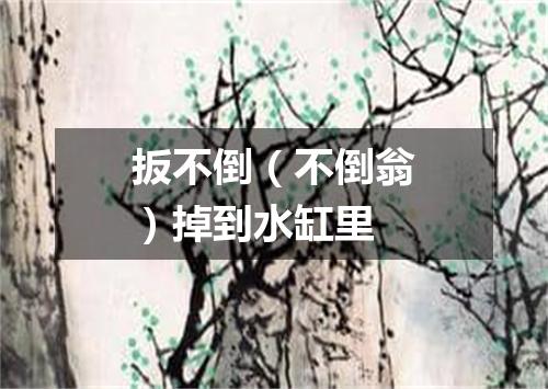 扳不倒（不倒翁）掉到水缸里