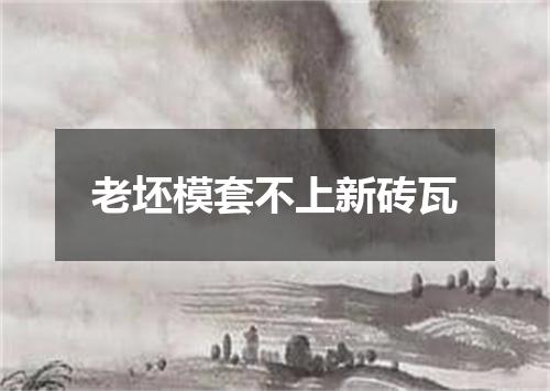 老坯模套不上新砖瓦