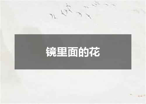 镜里面的花