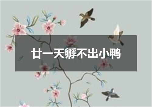廿一天孵不出小鸭