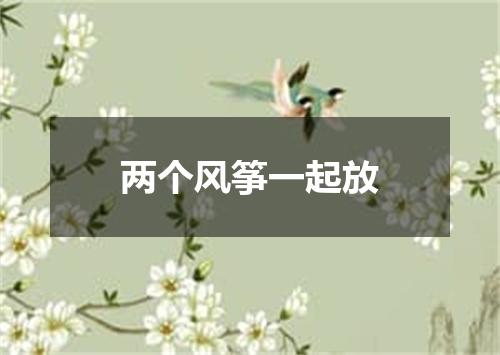 两个风筝一起放