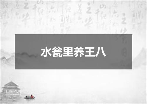 水瓮里养王八