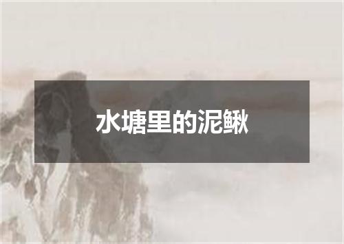 水塘里的泥鳅