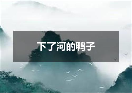 下了河的鸭子