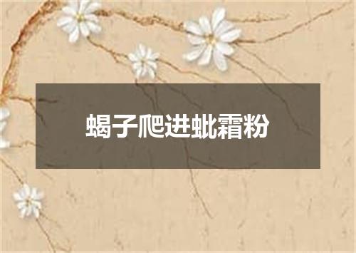 蝎子爬进蚍霜粉