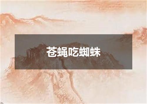 苍蝇吃蜘蛛