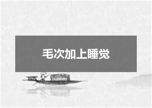 毛次加上睡觉
