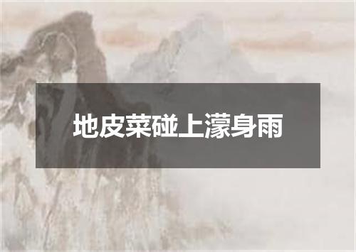 地皮菜碰上濛身雨