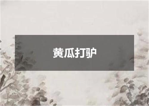黄瓜打驴
