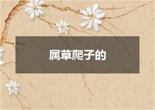 属草爬子的