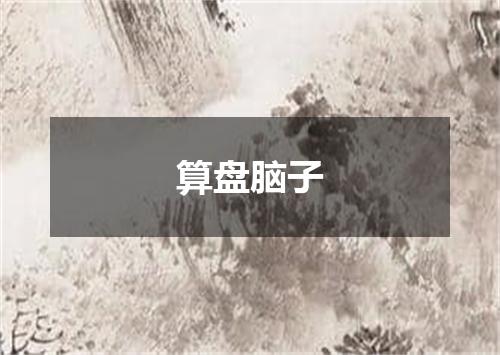 算盘脑子
