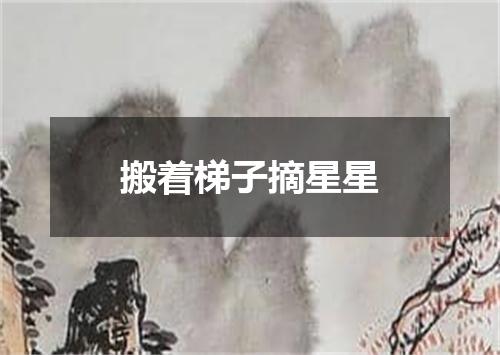 搬着梯子摘星星