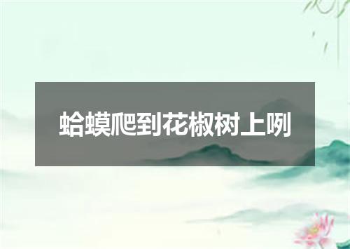 蛤蟆爬到花椒树上咧