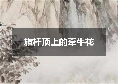 旗杆顶上的牵牛花