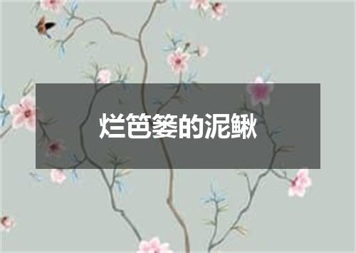 烂笆篓的泥鳅