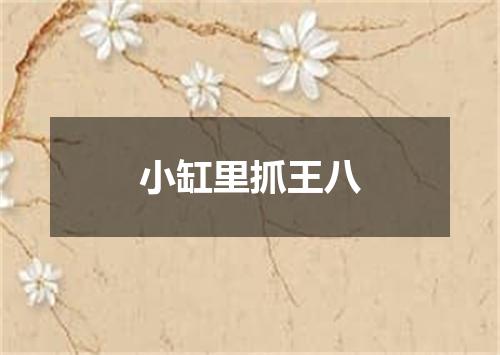 小缸里抓王八