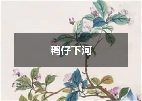 鸭仔下河