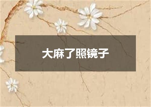 大麻了照镜子