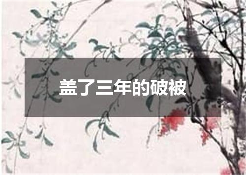 盖了三年的破被