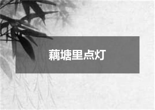 藕塘里点灯