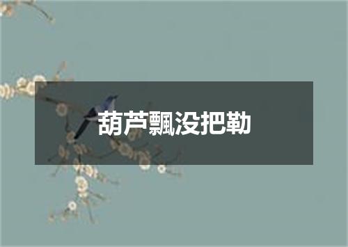 葫芦飄没把勒