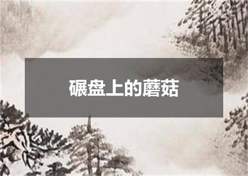 碾盘上的蘑菇