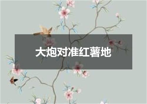 大炮对准红薯地