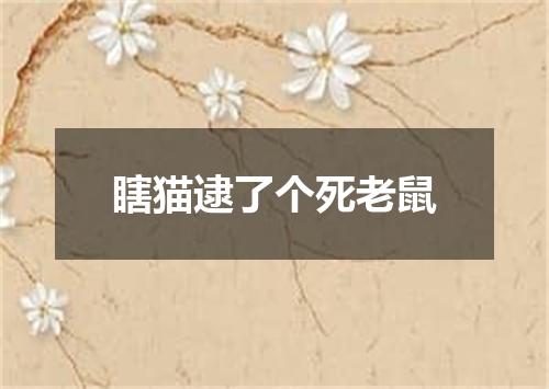 瞎猫逮了个死老鼠