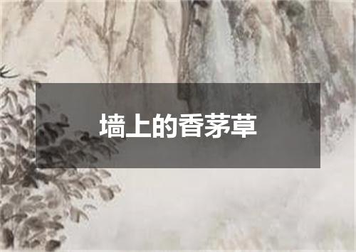 墙上的香茅草