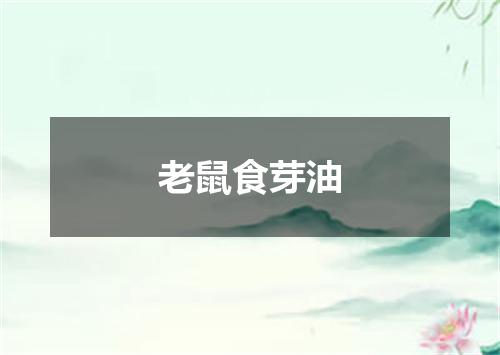 老鼠食芽油