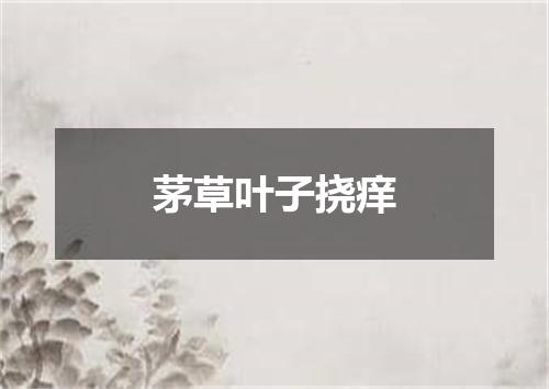 茅草叶子挠痒
