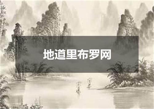 地道里布罗网