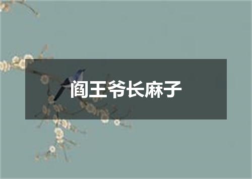 阎王爷长麻子