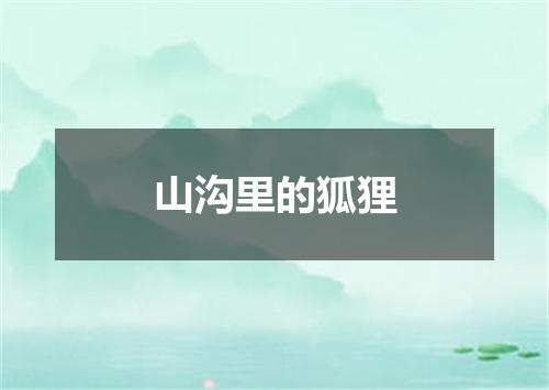 山沟里的狐狸