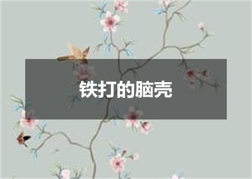 铁打的脑壳