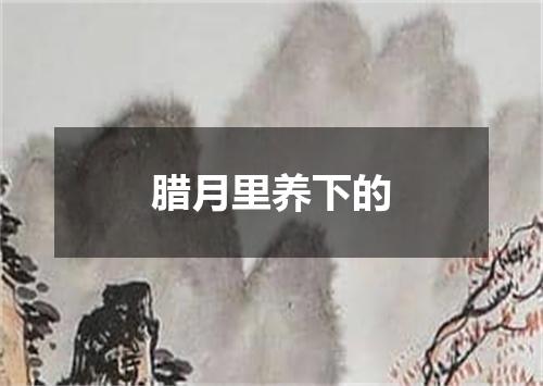 腊月里养下的